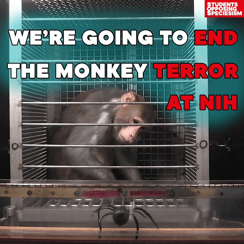We're Going to End the Monkey Terror at NIH