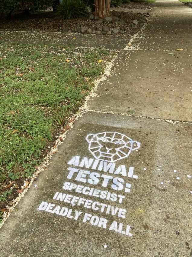 sidewalk chalk activism