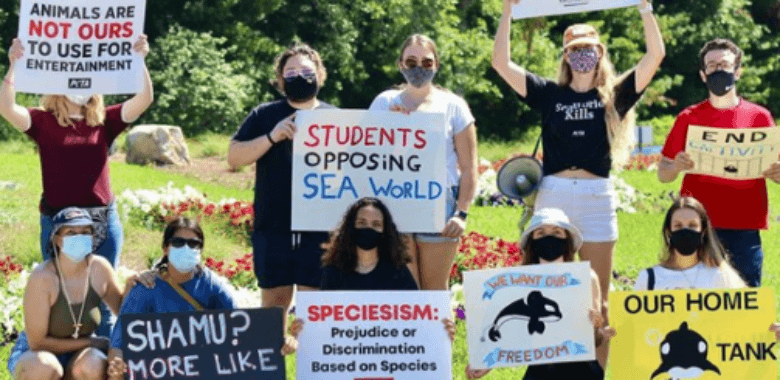 Activists protesting seaworld