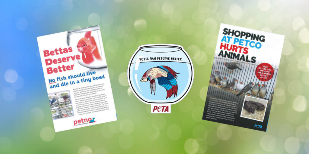 Photos of leaflets and stickers against the sale of animal at pet stores like Petco