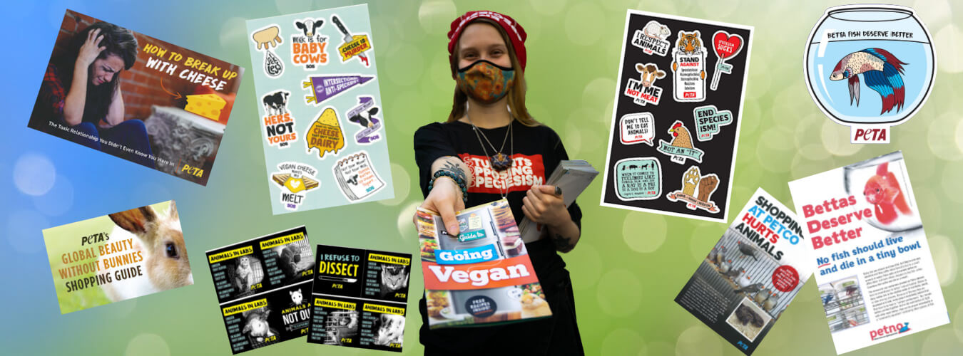 Order a FREE Summer Activism Kit | PETA SOS