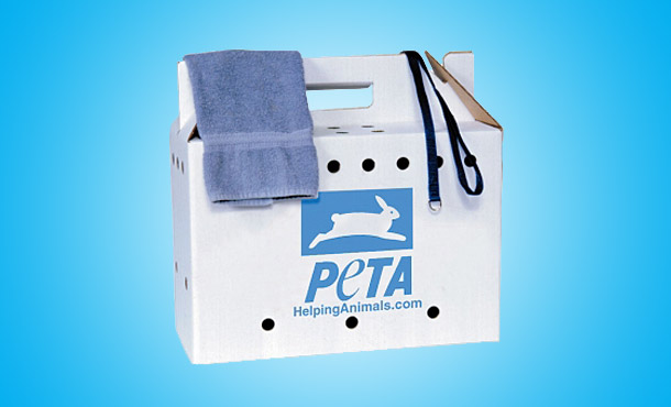Photo of PETA's animal rescue kit with a cardboard animal carrier, leash, and towel.