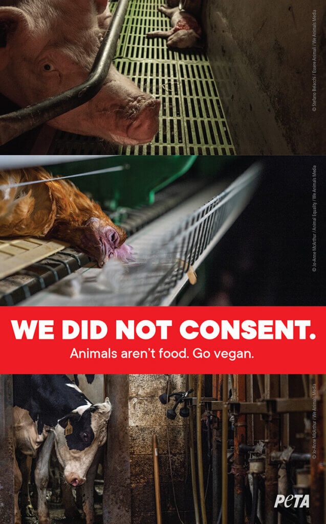 Leaflet with images of animals raised for food with the words "We Did Not Consent. Animals aren't food. Go vegan."