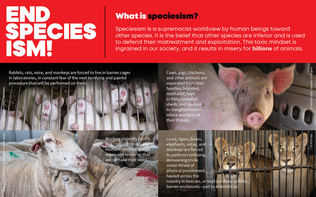 Leaflet image with information about speciesism and how to end it accompanied by images of animals confined for experiments, food, clothing, and entertainment.